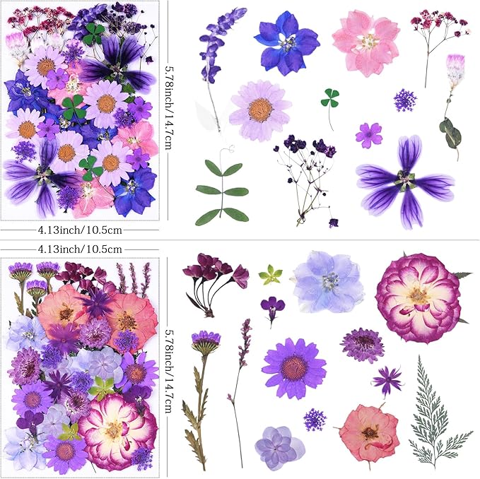 113Pcs Purple Dried Pressed Flowers for Crafts,Xinxinran Dry Flower Kit for Resin Molds,Epoxy Resin Accessories,Bookmark,Nails, Jewelry Molds,Candle Making Supplies,Soap,Frame,Cakes