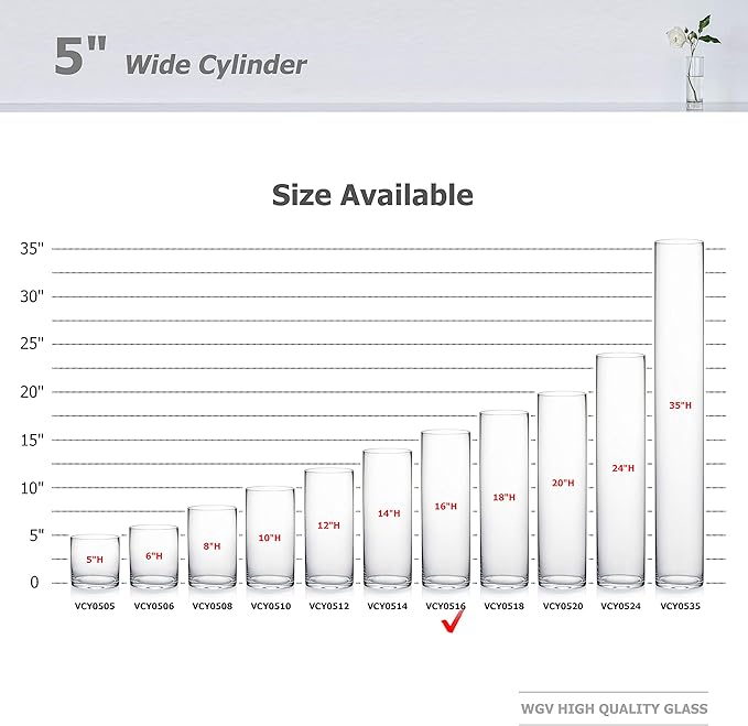 WGV Cylinder Vase Bulk, Diameter 5", Height 16", Clear Glass Floral Planter Container, Tall Centerpiece Arrangement for Wedding Party Event Home Office Decor, 6 Pieces
