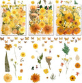 140 PCS Yellow Real Pressed Dried Flowers and Leaves with Butterfly Stickers & Tweezers – Natural Dried Flowers for Resin, Candle, Jewelry, Scrapbooking & DIY Crafts (Yellow 140)