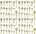WOCRAFT 60pcs Antique Gold Small Key Bracelet Charms for Jewelry Making Sets DIY Necklace Bracelet Keychain Crafting Charms Kit Craft Supplies (SN923)