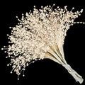 50pcs Beaded Stick Bride Wedding Pearl Bouquet Party Decoration (Ivory)