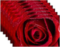 Red Rose Placemats Set of 6,Washable Heat Resistant 12×18 Inch Linen Table Mats Magic Place Mats for Party Outdoor Dining Décor