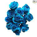 Fresh Cut Tinted Turquoise Roses from Flower Explosion - 12 Stems