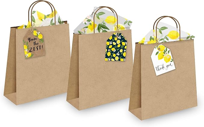 Pro Supply Global 24 Count of 2.5 Inch x 3 Inch Pre Strung Lemons Gift Tag Assorted Printed Designs on Large Cardstock Gift Hang Tags - Ideal to Use on Bags