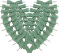 50pcs 2-1/2" Vanilla Green Satin Ribbon Bows with Twist Ties Celadon Satin Ribbon Bows for Candy Party Decoration Gift Packing Wrapping Accessories(2.5“,Vanilla)