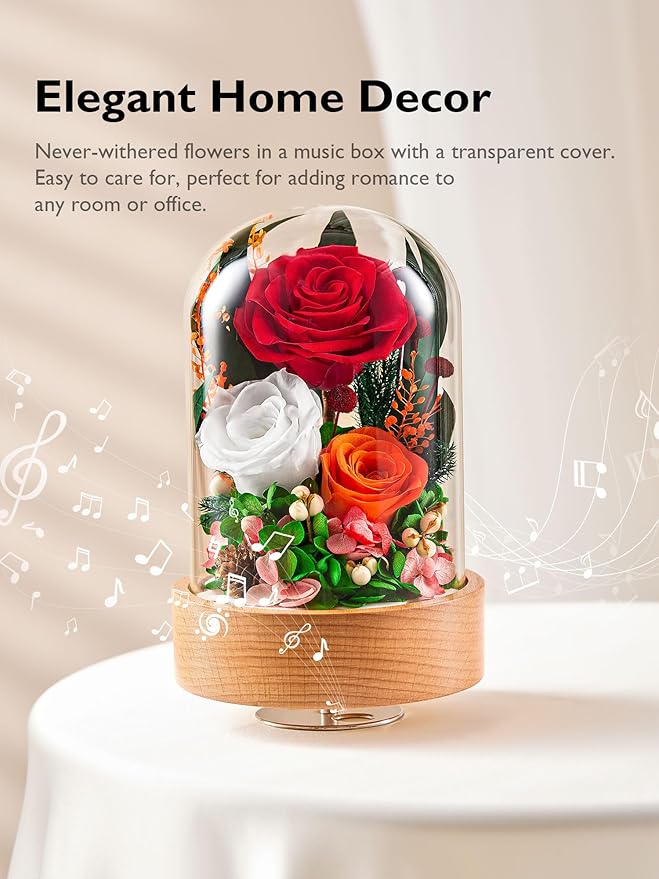 Eterfield Flowers for Delivery Prime, Christmas Preserved Roses Gifts for Women - Forever Flower in Glass Dome Birthday Gifts for Mom Wife Grandma Her Valentine’s Day (Red, Cylindrical)