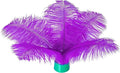 Piokio 20 pcs Natural Purple Ostrich Feathers 6-8 inch(15-20 cm) Bulk for DIY Handmade Artwork and DIY Clothes, Feather Pens, Dream Catcher, Table Decoration.