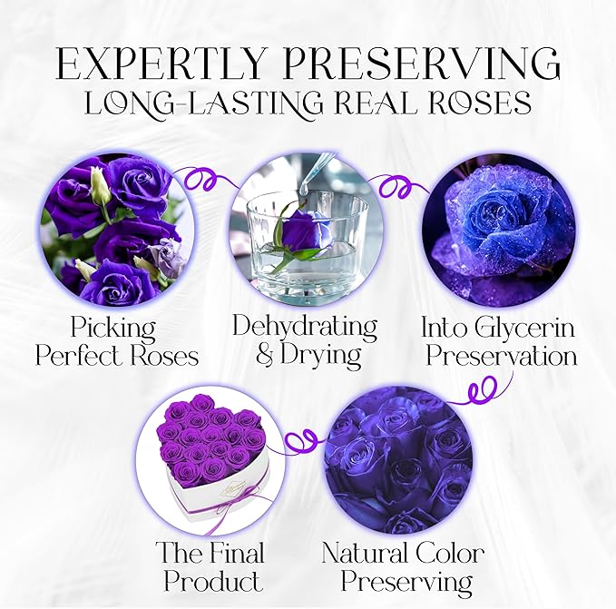 GLAMOUR BOUTIQUE Preserved Roses in a Box - Gifts for Her, Wife & Mom, Rose Flowers Forever Decor for Birthday Gift, Get Well Flower Bouquet Cased in White Box with Cover - Purple - 16-Piece