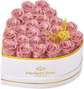 Eterfield 27 Forever Flowers in Heart Shape Box, Preserved Roses That Last a Year Preserved Flowers Birthday Gifts for Her Mom Women Wife Anniversary Valentines Day Mothers Day Christmas, Dusty Pink