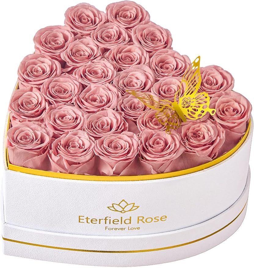 Eterfield 27 Forever Flowers in Heart Shape Box, Preserved Roses That Last a Year Preserved Flowers Birthday Gifts for Her Mom Women Wife Anniversary Valentines Day Mothers Day Christmas, Dusty Pink