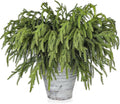 Artgar 50 Pcs Pine Branches - 18 Inch Artificial Green Pine Stem - Real Touch Pines Branches - Christmas Greenery Pines Branches for DIY Flower Arrangement Home Indoor Christmas Decor