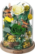 NOVEINN Preserved Flowers in Glass Dome - Eternal Rose Arrangement with Real Preserved Plants, Romantic Forever Rose Gift for Women - Anniversary, Birthday, Mother’s Day, Home Decor(Yellow)