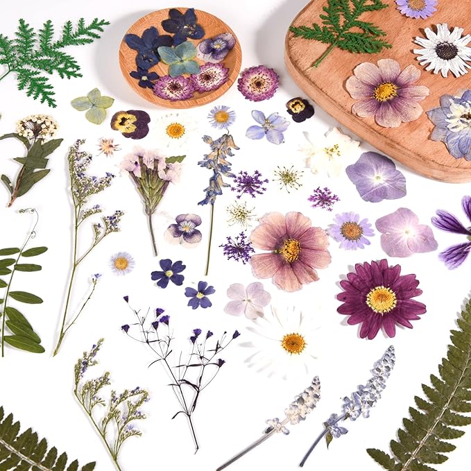 80PCS Natural Color Pressed Dried Flowers Dry Leaves with Tweezers - Real Pressed Flowers for DIY Crafts, Resin Jewelry, Cards, Soap, CandleMaking, Nail Art, and Scrapbooking (Natural Color)
