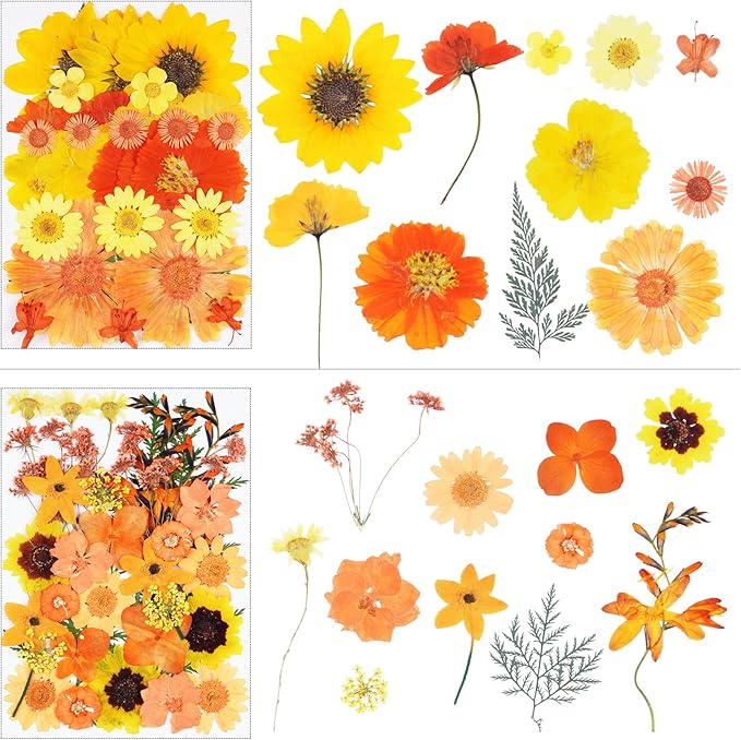 111Pcs Orange Dried Pressed Flowers for Crafts,Xinxinran Fall Dry Flowers Kit for Resin Molds,Epoxy Resin Accessories,Bookmark,Jewelry Molds,Candle Making Supplies,Soap,Frame