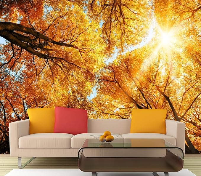 Cliouar-Warm Autumn Sun Shines Through The Golden Crowns of Tall Beech Trees Peel and Stick 90" x 67"