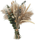 Musunny Dried Flowers Bouquet, 17" Dried Pampas Grass Decor Inc Lavender Eucalyptus DIY Floral Arrangements for Home Office Decoration,Wedding centerpieces