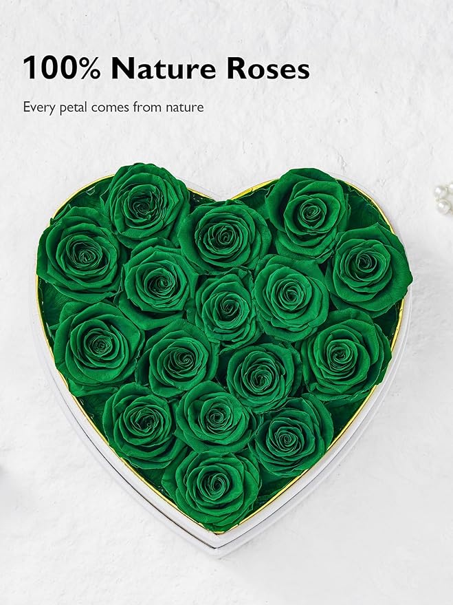 Eterfield Forever Flowers in Heart Shape Box, Preserved Roses That Last a Year Preserved Flowers Birthday Gifts for Her Mom Women Wife Anniversary Valentines Day Mothers Day (16 Roses, Blackish Green)