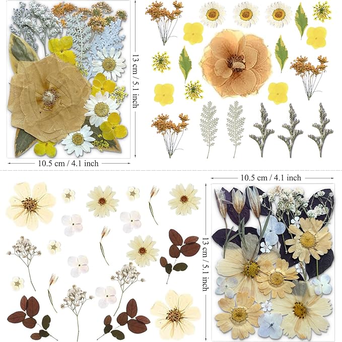 90Pcs Dried Pressed Flowers for Resin Molds, Vintage White Bulk Real Natural Dry Floral for DIY Art Crafts, Epoxy Jewelry, Candle, Soap Making, Nails Decor, Phone Case