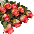 Artificial Roses 10 Pcs - Lifelike Single Stem Fake Roses with Natural Petal Texture,Fade-Resistant Silk Flowers for Wedding Decor,Home Vase Arrangements,Party Centerpieces(10, Deep Pink)