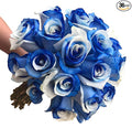 Fresh Cut Tinted Blue and White Roses from Flower Explosion - 36 Stems