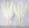 10 Stems 40-inch White Pampas Grass Decor Tall, Large Pampas Grass, Boho Neutral Home Decor Bouquet. Fluffy Pampas Grass for Floor Vases, Wedding Floral Arrangements, Wall Decor, Farmhouse Table Decor