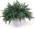 24 Pcs Pine Branches - Real Touch Artificial Pine Stems - Christmas Greenery Picks for DIY Wreaths Garlands Vase Arrangements, Indoor Outdoor Christmas Decor