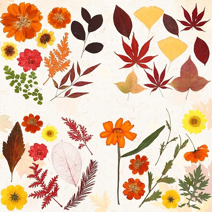 Augshy Fall Dried Pressed Flowers Orange Pressed Fall Leaves for Crafts Resin Molds Real Red Brown Yellow Pressed Leaves for Scrapbooking, Epoxy Resin Supplies