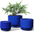 LE TAUCI Ceramic Plant Pots, 4.3+5.3+6.8 inch, Set of 3, Planters with Drainage Hole and Saucer, Indoor Flower Pot with Hole Mesh Pad, Gifts for Mom, Sapphire Blue