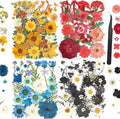 110+PCS Pressed Flowers for Resin molds Real Dried Flower Leaves for Resin Jewelry Making Dry Flowers for Scrapbooking Crafts DIY Soap Candles Making Nails Décor (Colorful-B)