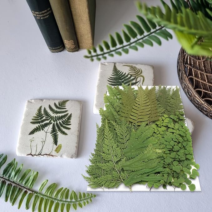 55 Pcs Green Leaves Ferns Dried Pressed Flowers for Crafts,Real Nature Dry Flower Bulk for Resin Jewelry Making Candle Making Frame Decoration Art Floral Decors