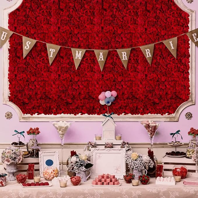 BLOSMON Flower Wall Backdrop Red - 6 Pcs 24 x 16 Inch Artificial Hydrangea Floral Panels for Wedding Party Baby Bridal Shower Decor - Fake 3D Silk Flower Backdrop Decoration