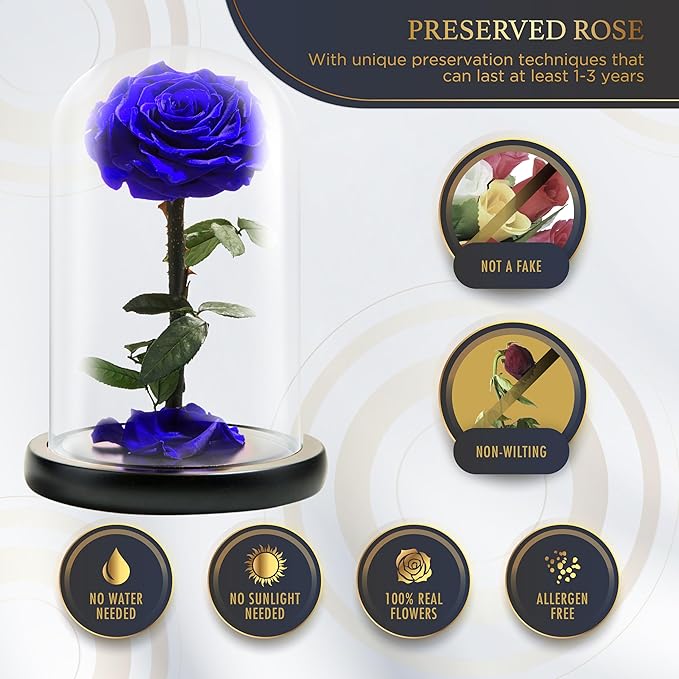Forever Preserved Rose - Eternal Rose in Glass Dome - Beauty and The Beast Rose for Mom - Fresh Flowers in Glass (Blue, 9 Inch)