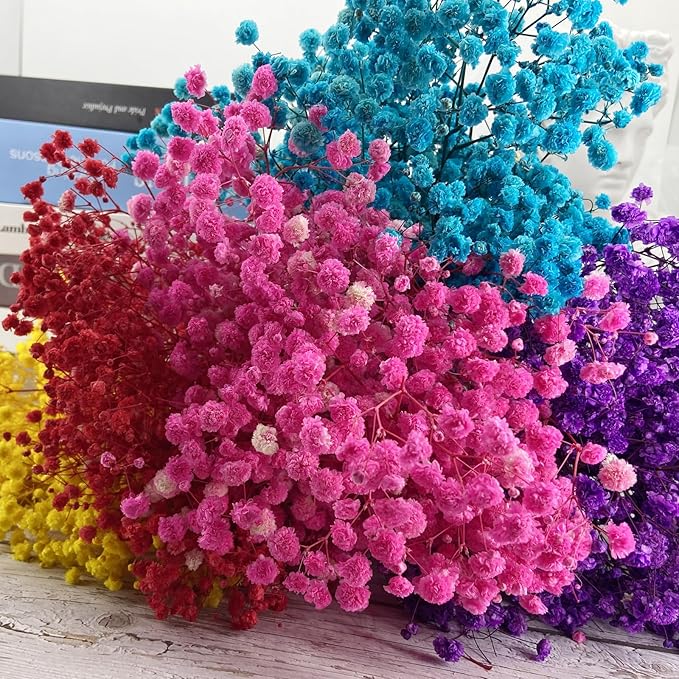 Birtlynn Preserved Baby's Breath, 100% Natrual Gypsophila Long Lasting Flowers for Vase Arrangements Home Decoration Photo Props Parties and Weddings, DIY Décor-Pink