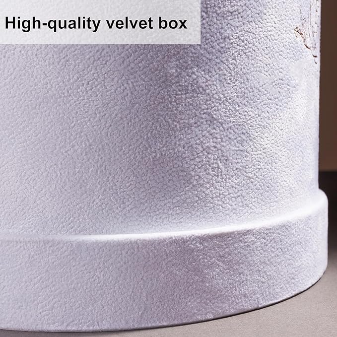 17 Flowers in a Luxury Suede Box, Birthday Gifts for Women, Preserved Flowers, Mothers Day Roses Gift for Mom, Light Pink