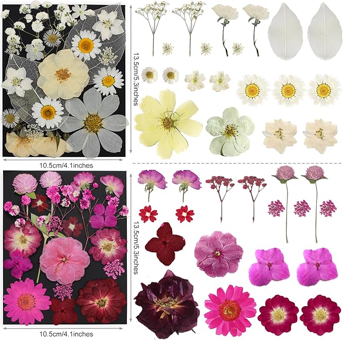 285Pcs 9 Packs Mixed Types Real Natural Dried Pressed Flowers & Leaves for Resin Molds, DIY Crafts, Jewelry Making + 100Pcs Butterfly Stickers + Tweezers