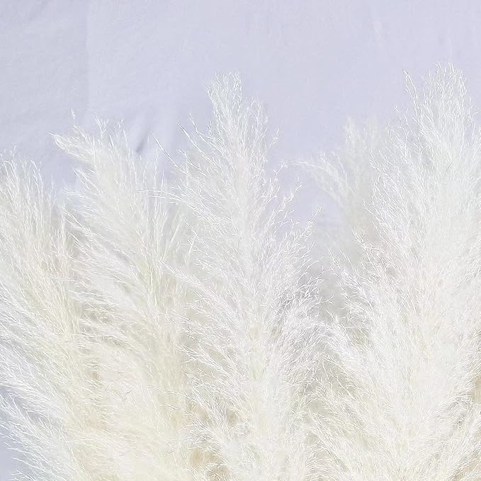 10 Stems 40-inch White Pampas Grass Decor Tall, Large Pampas Grass, Boho Neutral Home Decor Bouquet. Fluffy Pampas Grass for Floor Vases, Wedding Floral Arrangements, Wall Decor, Farmhouse Table Decor