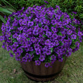 20 Bundles Artificial Flowers for Outdoor Fake Plants for Spring Decoration,Faux Eucalyptus Flowers for Planter UV Resistant Lifelike for Home Porch Garden（Purple）