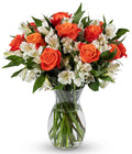 Benchmark Bouquets - Dazzling Roses & Alstroemeria (Glass Vase Included) - Fresh Flowers for Delivery - Gift for Graduation, Birthday, Anniversary, Sympathy, Get Well, Congratulations