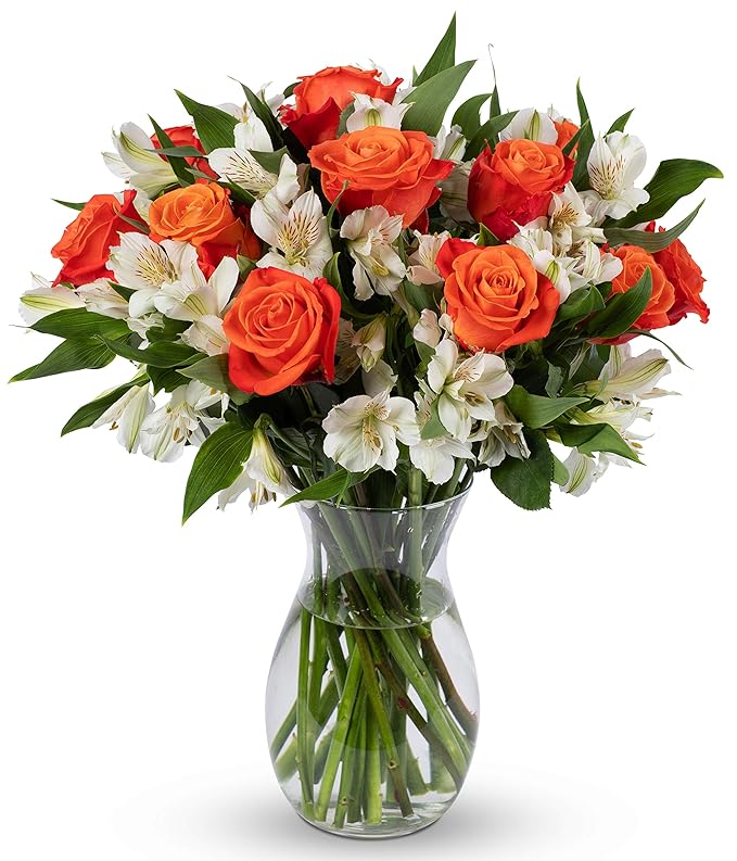 Benchmark Bouquets - Dazzling Roses & Alstroemeria (Glass Vase Included) - Fresh Flowers for Delivery - Gift for Graduation, Birthday, Anniversary, Sympathy, Get Well, Congratulations