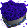 16 Preserved Flower Delivery Prime, Preserved Roses in a Box, Birthday Gifts for Women, Mother's Day, and Valentine's Day-Blue Roses