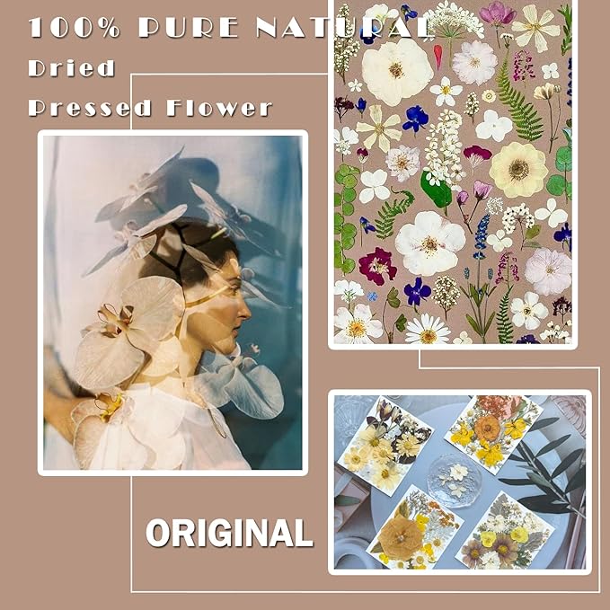 90Pcs Dried Pressed Flowers for Resin Molds, Vintage White Bulk Real Natural Dry Floral for DIY Art Crafts, Epoxy Jewelry, Candle, Soap Making, Nails Decor, Phone Case