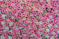 Pink Rose Flowers Theme Photography Backdrop Baby Shower Wedding Happy Birthday Photo Background Dessert Cake Table Floral Decoration Supplies Studio Props Decor Background 15x10ft