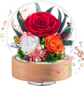 Eterfield Flowers for Delivery Prime, Christmas Preserved Roses Gifts for Women - Forever Flower in Glass Dome Birthday Gifts for Mom Wife Grandma Her Valentine’s Day (Red, Sphere)