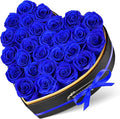 27 Preserved Roses in Heart Shape Gift Box for Her - Forever Flowers for Delivery, Eternal Rose Mothers Gifts for Mom, Wife Anniversary Birthday Gifts for Women, Blue