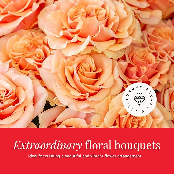 BloomsyBox- Peach Roses - 24 Long Stems, Long Lasting, Hand-Tied in Eco-friendly, Vase Not Included, Fresh Flowers for Delivery – Gift for Birthday, Anniversary, Get Well, Congratulations, Wedding
