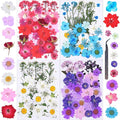 146Pcs Dried Pressed Flowers for Crafts,Xinxinran Dry Flowers Kit for Resin Molds,Epoxy Resin Accessories,Bookmark,Nails, Jewelry Molds,Candle Making Supplies,Soap,Frame(Colorful)