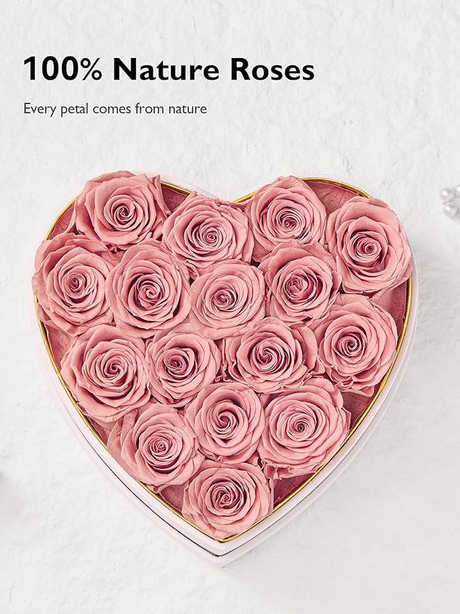 Eterfield 16 Forever Flowers in Heart Shape Box, Preserved Roses That Last a Year Preserved Flowers Birthday Gifts for Her Mom Women Wife Anniversary Valentines Day Mothers Day Christmas, Dusty Pink