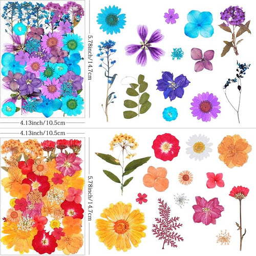 141Pcs Dried Pressed Flowers for Crafts,Xinxinran Dry Flower Kit for Resin Molds,Epoxy Resin Accessories,Bookmark,Nails, Jewelry Molds,Candle Making Supplies,Soap,Frame(Mixed Color)