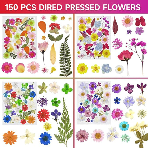 150 Pcs Pressed Flowers Bulk Dried Flower for Crafts, Dried Wildflowers Leave Natural with Tweezer for Resin Mold Scrapbooking Nail Soap Making DIY