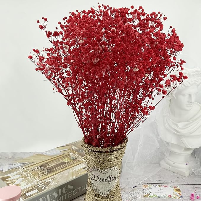 Birtlynn Preserved Baby's Breath, 100% Natrual Gypsophila Long Lasting Flowers for Vase Arrangements Home Decoration Photo Props Parties and Weddings, DIY Décor-Red